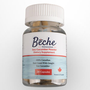 Bêche Sea Cucumber Powder Supplement
